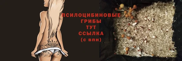мяу мяу мука Верея