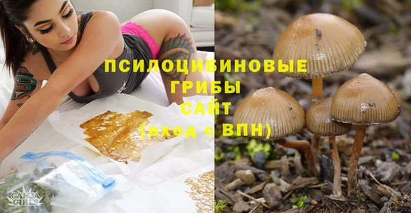мяу мяу мука Верхний Тагил