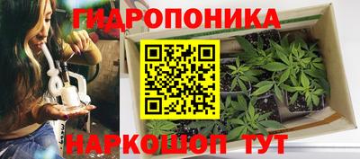 марихуана Боровичи