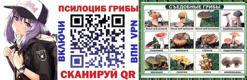 Галлюциногенные грибы Magic Shrooms Мончегорск