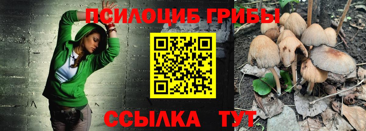 наркотики  Вход с VPN  Мончегорск  Галлюциногенные грибы Cubensis  Галлюциногенные грибы Magic Shrooms 